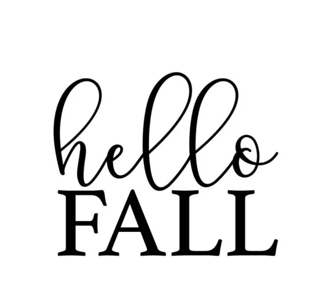 Damee - Fall 2025