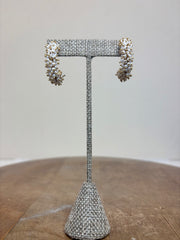 MANJUSHA Earrings