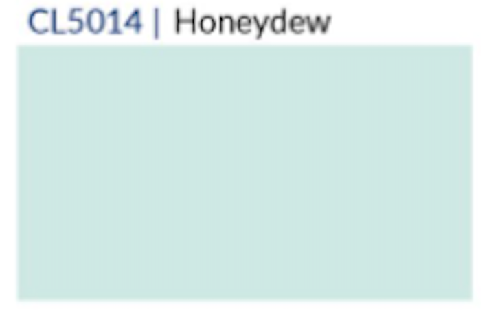 Fridaze AA265 - Diana Linen Shirt - HONEYDEW