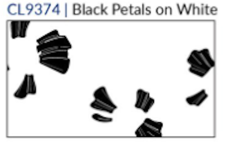 Fridaze AA265 - Diana Linen Shirt - BLACK PETALS ON WHITE