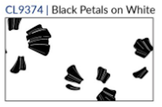 Fridaze AA366 Juilanne Linnen Blouse - BLACK PETALS ON WHITE