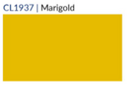 Fridaze AA147 - Marley's Linen Shirt - MARIGOLD