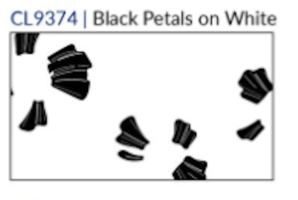 Fridaze AA147 - Marley's Linen Shirt - BLACK PETALS ON WHITE