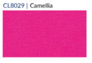 Fridaze AA68- Pleated Front Linen Tunic - CAMELLIA