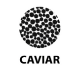 Chalet Felina Top - CAVIAR (NOT IRIS)