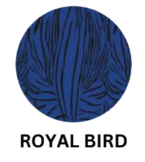 Alquema Nehru Coat Dress - ROYAL BIRD