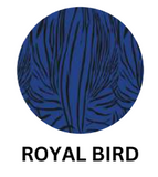 Alquema Nehru Coat Dress - ROYAL BIRD