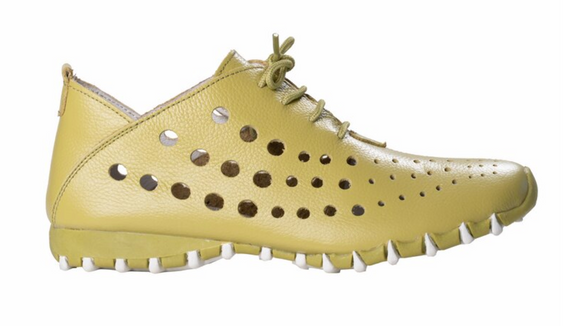 LitFoot Low Lace Up Shoe - GREEN