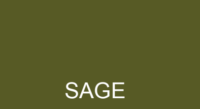 Color Me Cotton CMC Alana Hoodie Jacket - SAGE - FALL PRE-ORDER