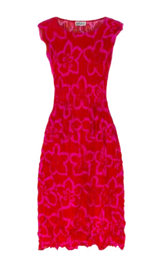 Alquema Smash Pocket Dress - SPECTRO