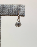 RAIN Crystal Short Dangle Earring