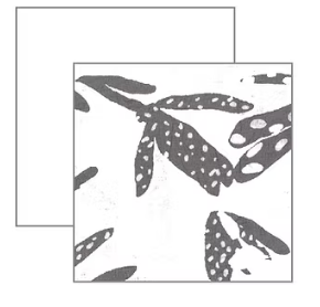 Chalet Lois Top - C52091 - WHITE (NOT BLACK)