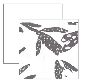 Chalet Tilley Pant - CB58355 - WHITE (NOT HARBOR)