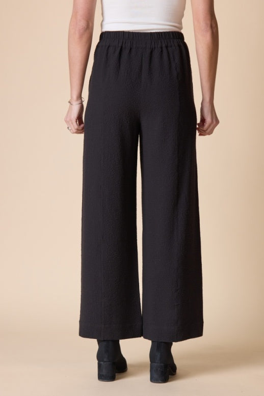Habitat Crinkle Crepe Solid Aria Pant - 21062 - BLACK