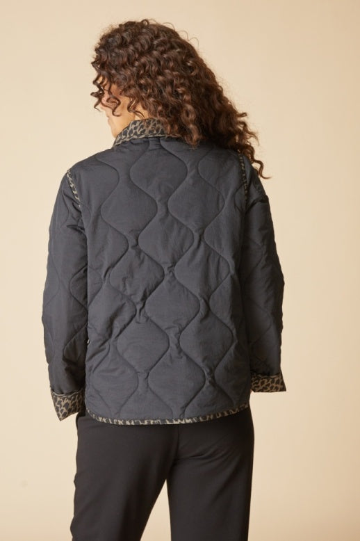 Habitat Reversible Print Quilt Puffer Coat - 36731 - BLACK